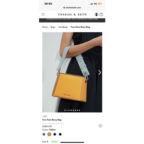 Túi charles&keith auth thanh lí
