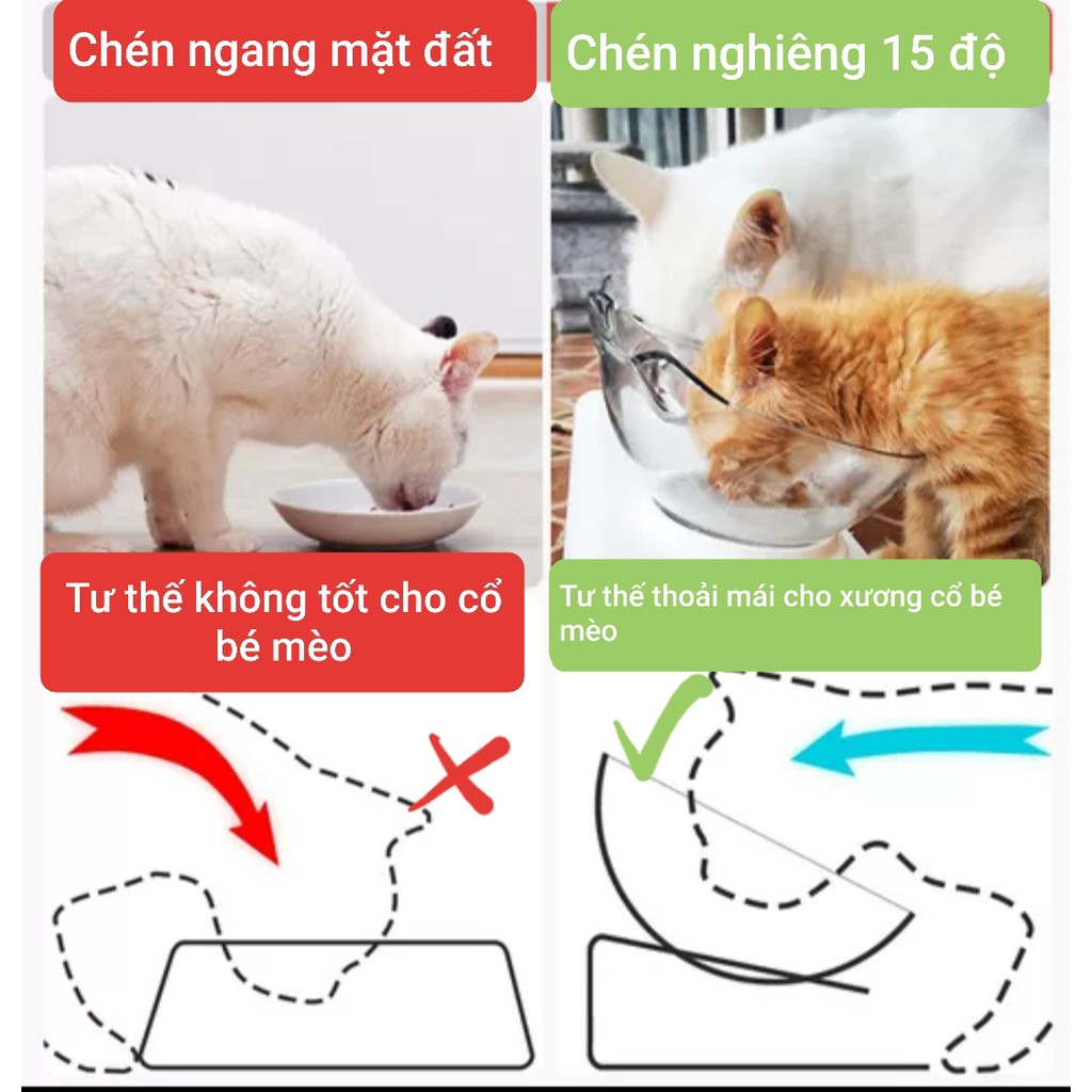 KHAY ĂN + BÌNH NƯỚC CHÓ MÈO (CHẤT LIỆU NHỰA CAO CẤP)