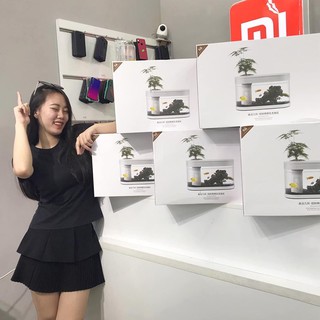 Bể Cá Thủy Sinh Mini Xiaomi