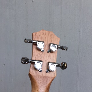 Đàn Ukulele gỗ Concert 23'.