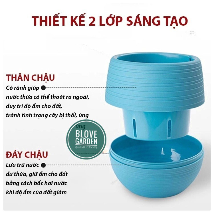 Chậu cây, chậu hoa  nhựa nhiều màu sắc trang trí nhà cửa văn phòng, bàn làm viêc, phòng khách siêu bền đẹp