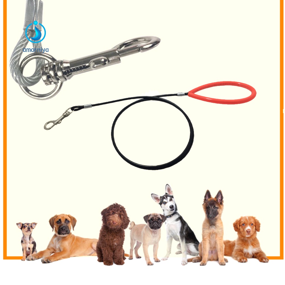 ♥Máy AMAR♥ Dây Dẫn Chó Cưng Đi Dạo Chống Cắn Tiện Lợi