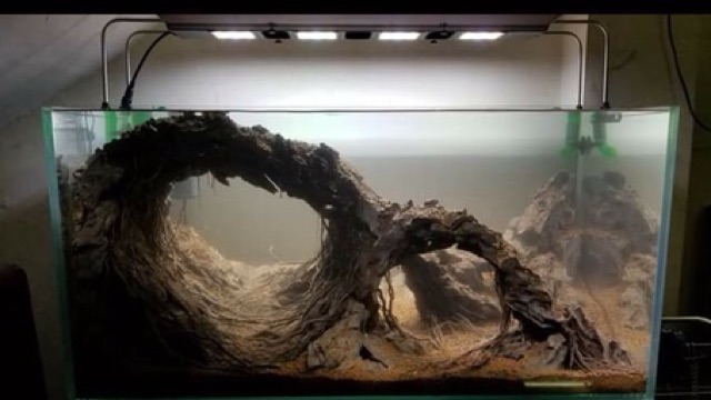 ☘️Bố cục đá chơi bể cá thủy sinh☘️