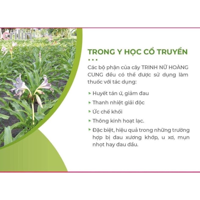 Trinh Nữ Hoàng Cung  Loại 1