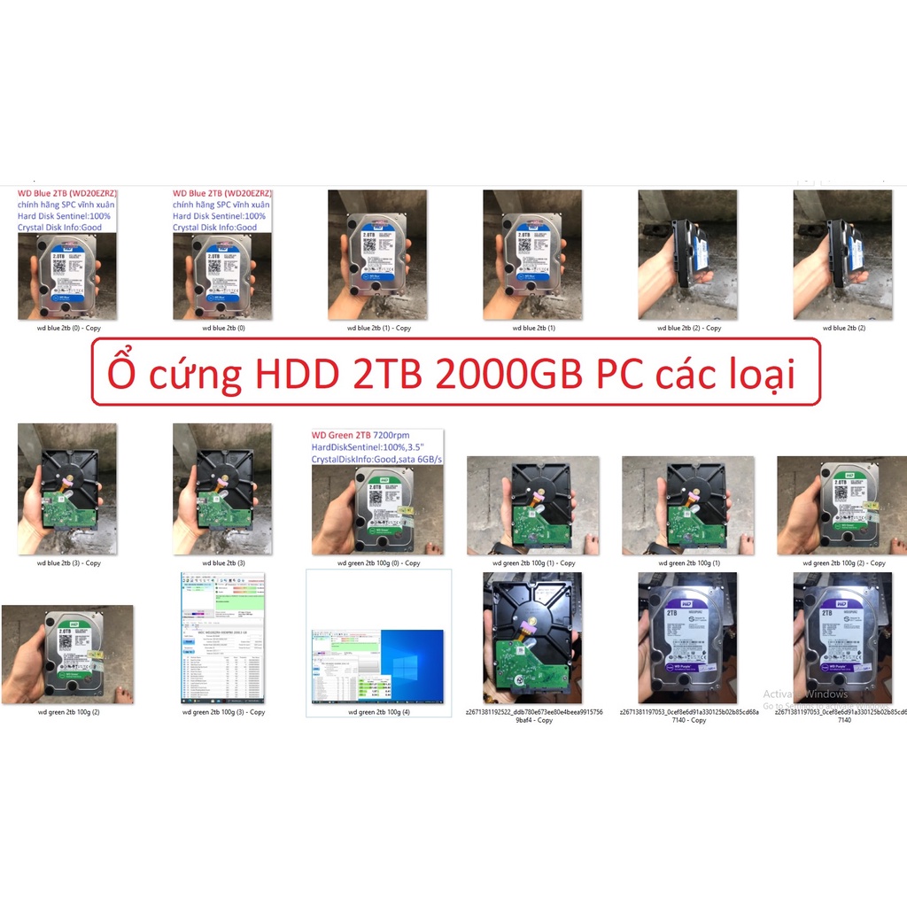ổ cứng HDD máy tính bàn PC 2TB 2000gb WD Western Digital blue green Purple các loại all