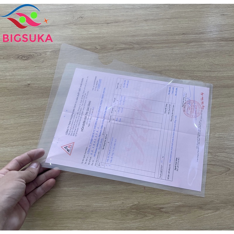 Bìa Lá A4 Thiên Long [Xấp 10 bìa] File đưng hồ sơ BIGSUKA