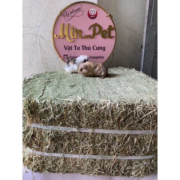 cỏ khô alffa cho thỏ , bọ , guinepig ( 1kg )