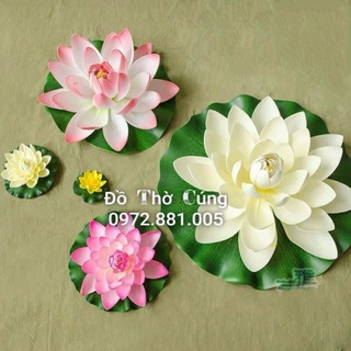 Hoa sen thả bể nước