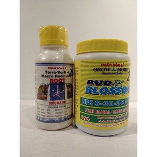combo phân bón lá root siêu ra dễ + NPK 6-30-30 kích ra hoa ,tăng đậu quả