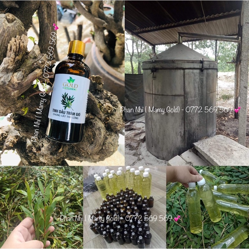 TINH DẦU TRÀM GIÓ NGUYÊN CHẤT • MẸ VUI, BÉ KHOẺ •MAMY GOLD