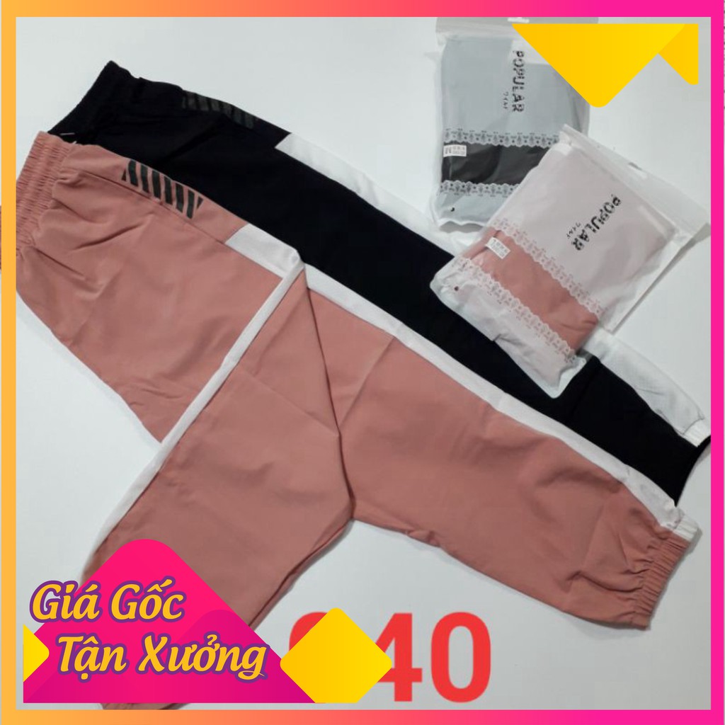 Quần jogger chun gấu QC 040, quần thể thao cạp chun, dây rút có sọc trắng hai màu hồng, đen