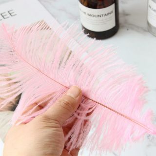Phụ kiện chụp ảnh lông vũ