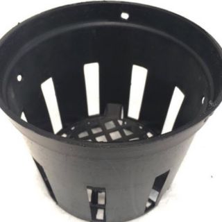 100 chiếc chậu 18cm trồng lan đen giá siêu rẻ