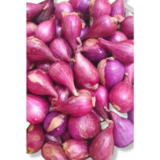 Hành tím Lý Sơn hàng tuyển loại 1, củ to dài chắc từng củ, hành mới tại vườn