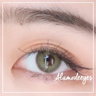 Lens nâu rêu 14.0mm