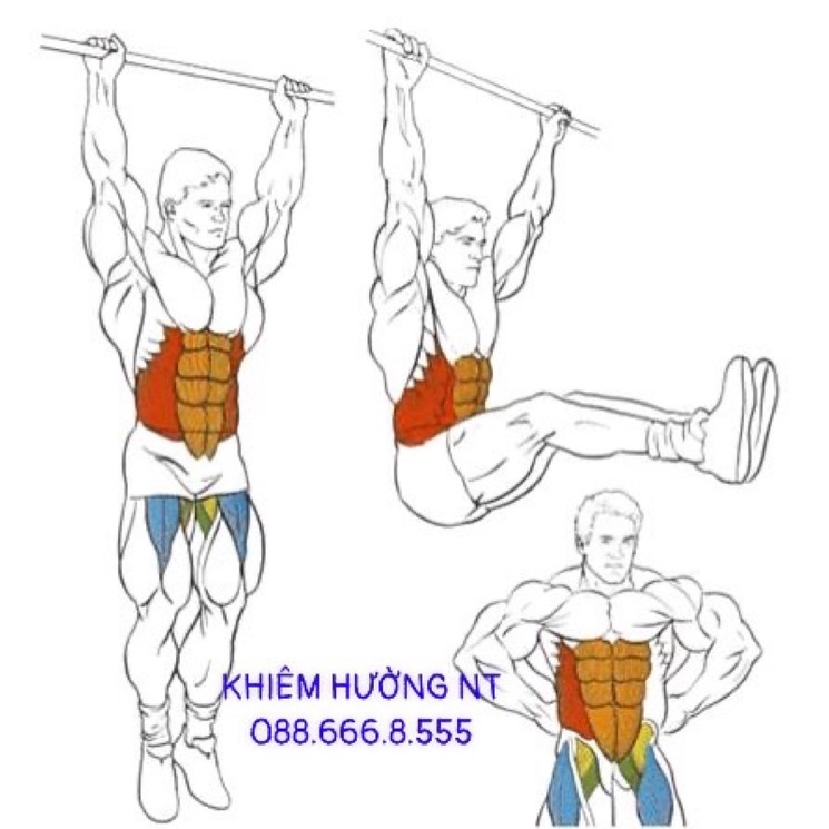 Xà đơn treo tường gắn cửa nhiều cỡ từ 62-150cm kích thước có thể tùy chỉnh phù hợp tập gym tại nhà tăng cơ bắp