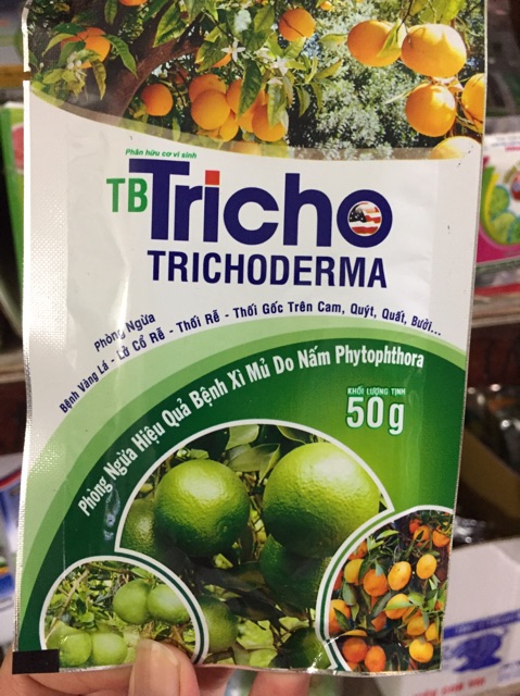 Chế phẩm Trichoderma phòng nấm bệnh cây trồng gói 50gr