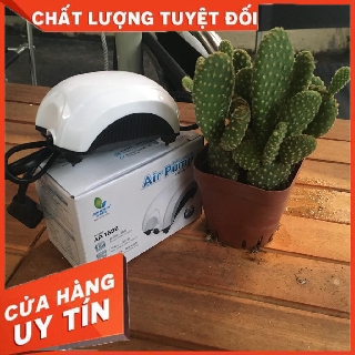 [Hàng chính hãng]Máy sủi Oxy 1 vòi 2,5w,dành cho cá cảnh