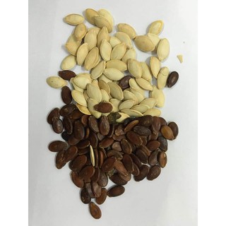 4kg hạt bí ngô sống