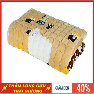 Thảm lông cừu trải giường trải sàn đa năng mềm mịn giữ ấm