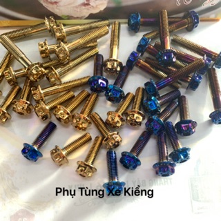 Ốc Salaya 8 Li Vàng-Xanh Titan