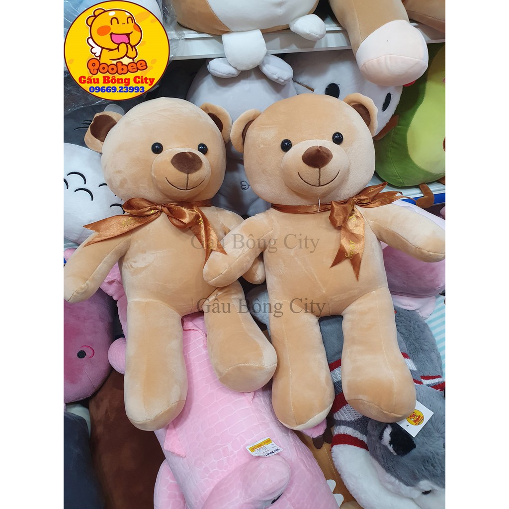 Gấu Bông Teddy vải co dãn 4 chiều Đủ cỡ đeo nơ