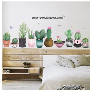 Decal dán tường xương rồng