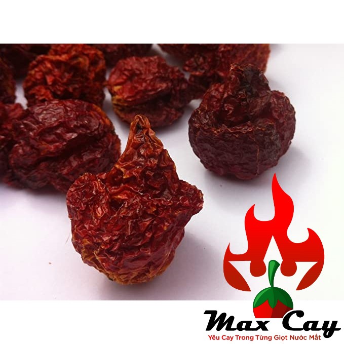 Ớt khô Carolina Reaper giống ớt cay nhất thế giới