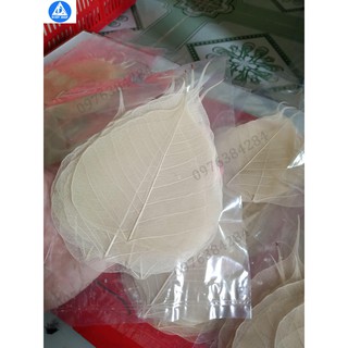 Set 20 xương lá bồ đề