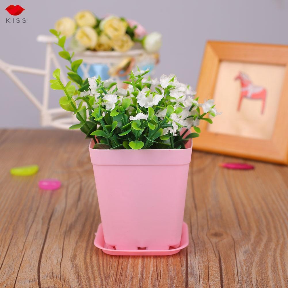 Chậu trồng sen đá ❤️ chậu nhựa ❤️ đường kính 12*12 cm 7 màu trang trí đẹp mắt