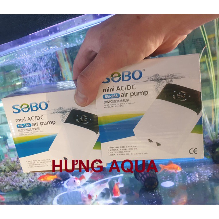Sủi oxy - Máy sủi oxy tích điện - Máy sủi oxy 1 vòi SB-168, 2 vòi SB-268 đủ phụ kiện cho hồ cá cảnh (bán chạy)