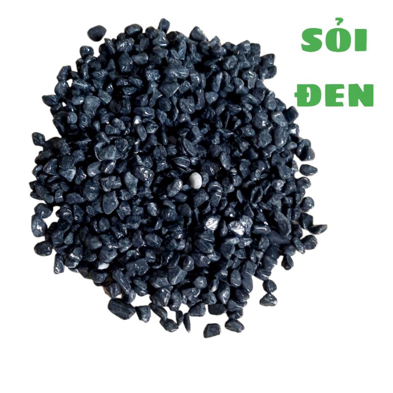 Sỏi trải nền bể cá cảnh trang trí bể cá thủy sinh ĐÃ RỬA SẠCH, 500gram