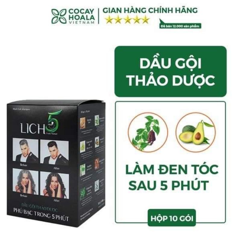 Dầu Gội Thảo Dược Đen Tóc Lich5 Hộp 10 gói