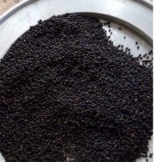 100 gr tiêu đen