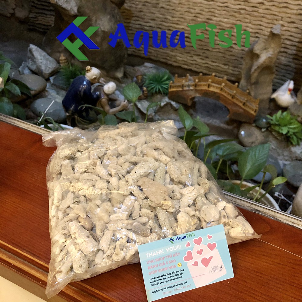 San Hô Vụn 1kg Dùng Cho Lọc Nước Bể Cá, Hồ Cá Koi