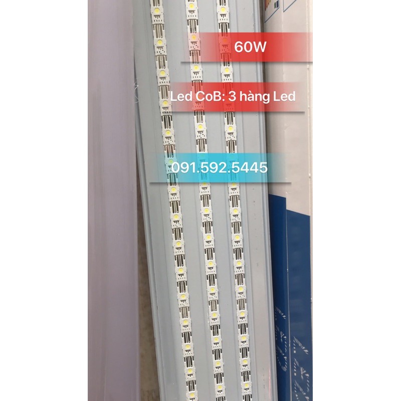 Đèn Tuýt Led Bán Nguyệt 1.2m Đầu Vuông 60W(Đủ Công Suất) Siêu Sáng Led COB, Chuẩn 3 Hàng Led