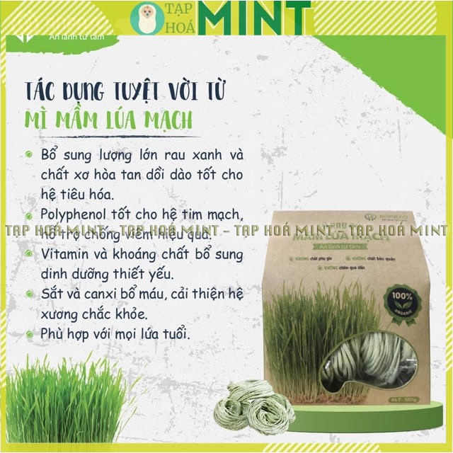 Mì rau củ hữu cơ cho bé ăn dặm Anpaso gói 120g - Tạp hóa mint