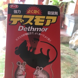 Diệt chuột
