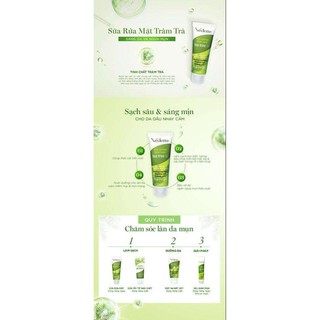 🥑 SỮA RỬA MẶT TRÀM TRÀ 100ml TEA TREE OIL VEDETTE