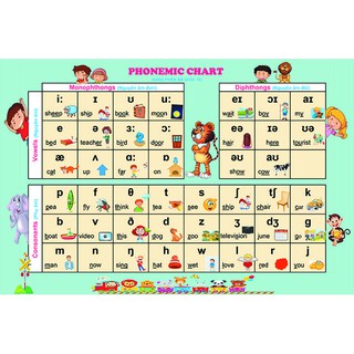 Decal dán tường phiên âm tiếng anh, bảng phonemic chart