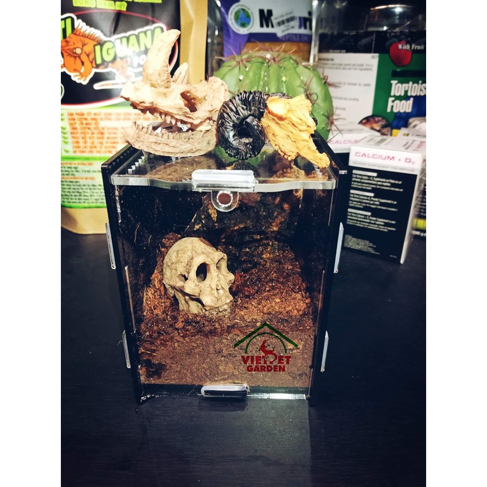 Tank Mica cho nhện - Hộp mica nuôi côn trùng nhện, bọ cạp cảnh - Vietpetgarden