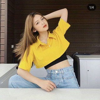 ��Set Áo CropTop Cổ Petter ( Kèm Áo Lót)
