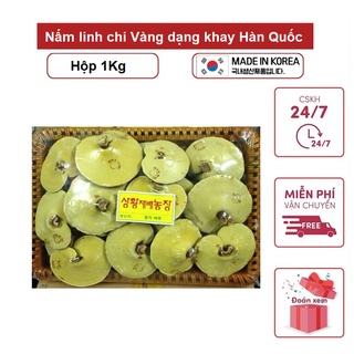 Nấm linh chi Vàng dạng khay Hàn Quốc [ Nấm Linh Chi _ Quà Tặng Cao Cấp ]