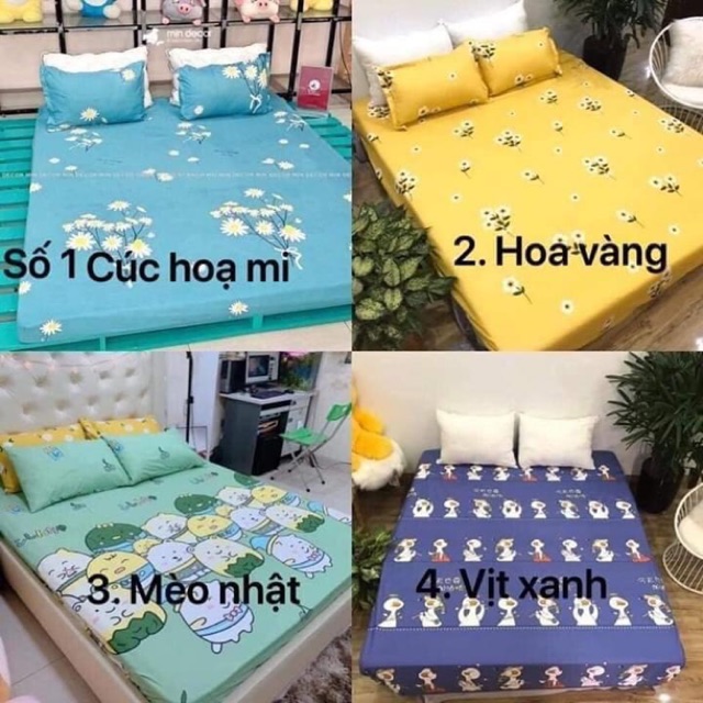 (Rẻ vô địch ) bộ ga gối 3 món 1 ga chun ,2 vỏ gối đầu nhiều màu sắc khách được chọn mẫu