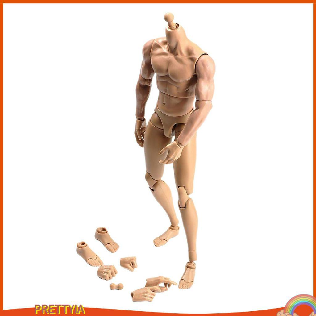 Mô Hình Cơ Thể Nam Tỉ Lệ 1 / 6