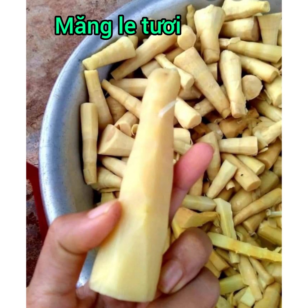 (MỚI) MĂNG KHÔ LE RỪNG TÂY NGUYÊN XÉ SỢI 500GR