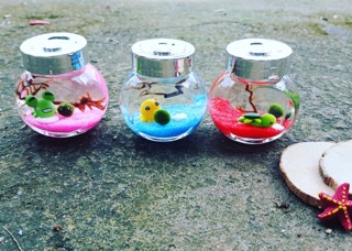 Set Tiny Tảo Cầu Nhật Bản - Marimo