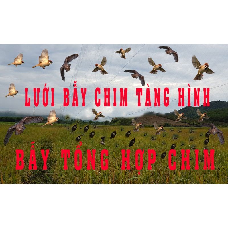 60m lưới 6p  bẫy cu, sáo vẹt ,cò quốc, két, tổng hợp chim ngày chim đêm, lưới tàn hình.