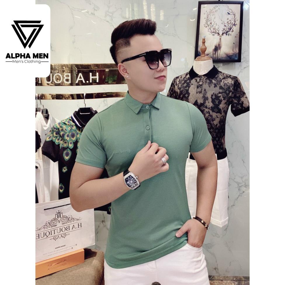 ⭐️SIÊU PHẨM⭐️Áo POLO Nam Cổ Bẻ Vải Thun Mịn Mát Lạnh Nhiều Màu - Áo Thun Nam Cao Cấp chất mát mùa hè M6022 | BigBuy360 - bigbuy360.vn