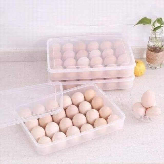 Khay đựng trứng 24 quả